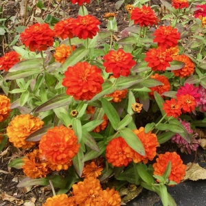 Photo of Green Lakes Landscaping
