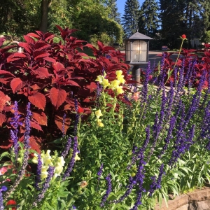Photo of Green Lakes Landscaping