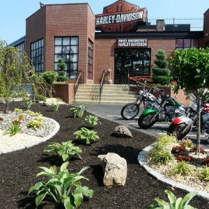 Photo of Done Right Landscape & Construction