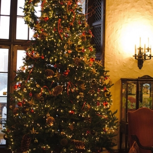 Photo of The Woman's Club of Minneapolis