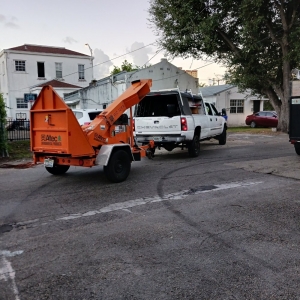 Photo of Tech 1 Landscaping