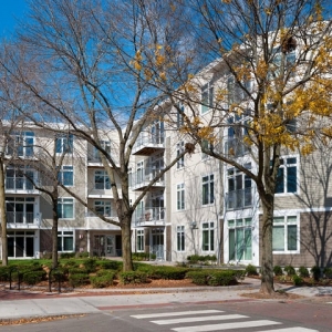 Photo of 7 Cameron Apartments