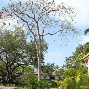 Photo of Favio Perez Design