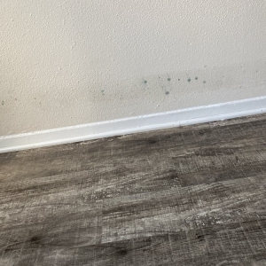 Photo of Castlewood Apartments