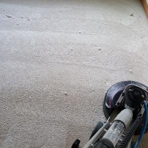 Photo of JPRO Cleaning Service