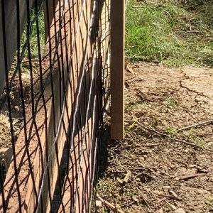 Photo of Mae Fence