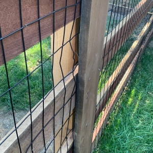 Photo of Mae Fence