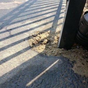 Photo of Mae Fence