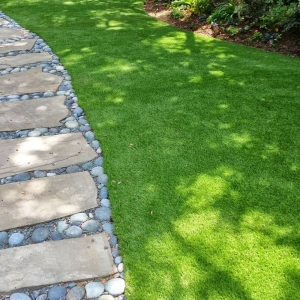 Photo of Everlasting Greens