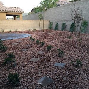 Photo of Mesquite Landscaping