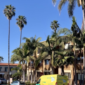 Photo of ServiceMaster Recovery by C2C Restoration - San Diego
