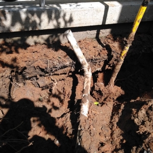 Photo of Southern Home Repair