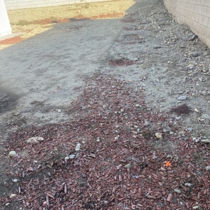 Photo of Green Leaf Landscaping And Maintenance