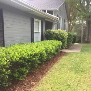 Photo of Dynasty Fence & Lawn