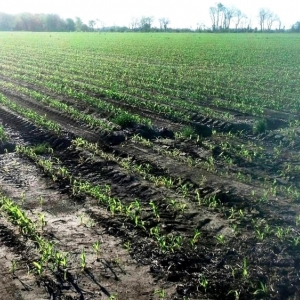 Photo of American Farmland Investments