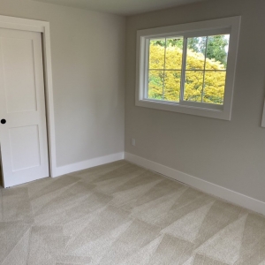 Photo of Carpet Cleaning Time