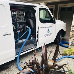 Photo of Carpet Cleaning Time