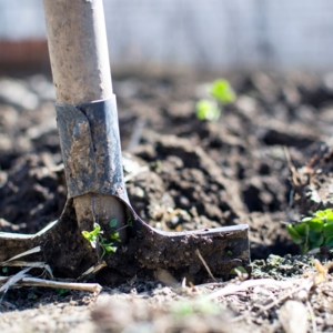 Photo of Landscaping Pros El Cajon