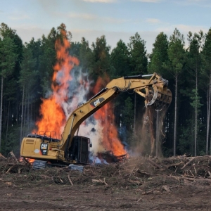 Photo of Goldman's Clearing and Site Prep