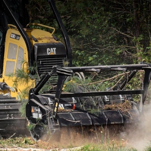 Photo of Goldman's Clearing and Site Prep