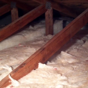 Photo of Attic Guru