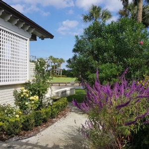 Photo of In The Garden Landscape And Design