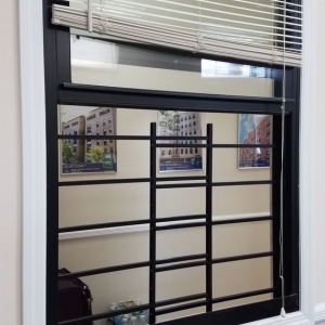 Photo of Sentry Window Guards