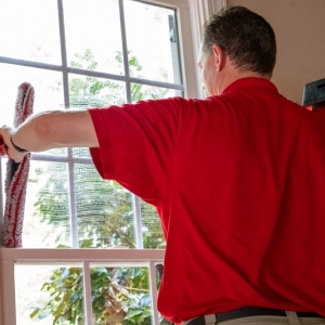 Photo of Fish Window Cleaning