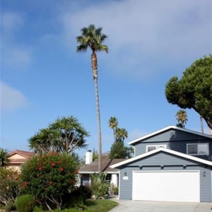 Photo of Margaret Blaisdell Uth - Katcam Real Estate