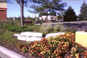 Photo of Mark's Quality Landscaping