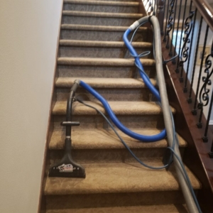 Photo of Extreme Carpet Care