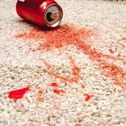 Photo of Heaven's Best Carpet Cleaning