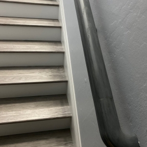 Photo of Gray's Paint