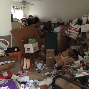 Photo of Lizards Junk Removal