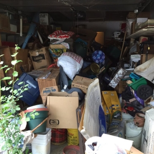 Photo of Lizards Junk Removal
