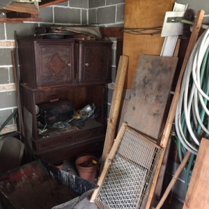 Photo of Lizards Junk Removal
