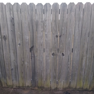 Photo of JT Carpet Cleaning and Pressure Washing