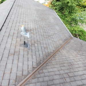 Photo of Exterior Shine