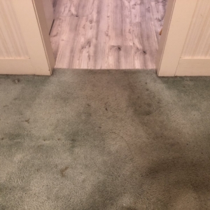 Photo of Oxi Fresh Carpet Cleaning