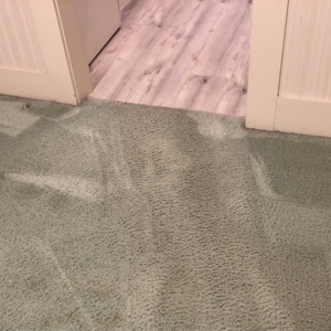 Photo of Oxi Fresh Carpet Cleaning