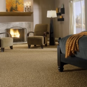 Photo of Affordable Carpet & Upholstery Cleaning