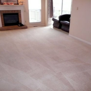 Photo of Affordable Carpet & Upholstery Cleaning