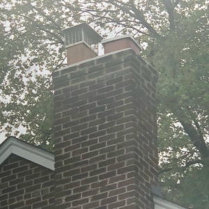 Photo of Victorian Chimney Service