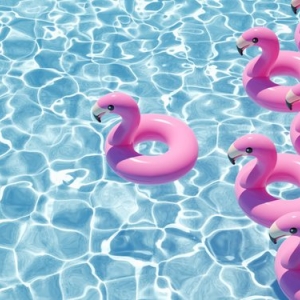 Photo of Pink Flamingo Pool Company
