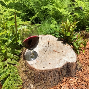 Photo of JM Cellars