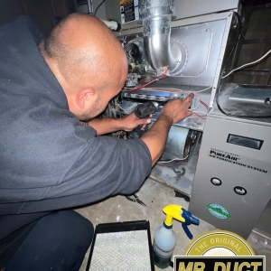 Photo of Mr. Duct