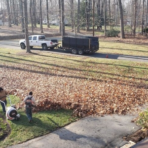 Photo of Green Garden Design Landscaping