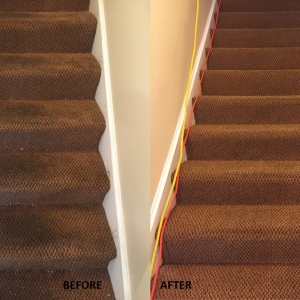Photo of Carpet Cleaning Group