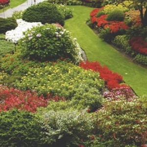 Photo of Boochee Lawn Care