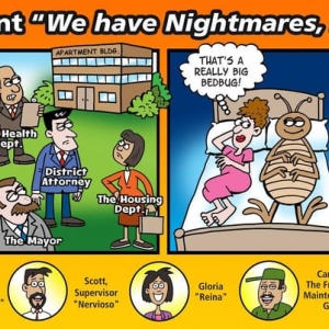 Photo of MF Property Management